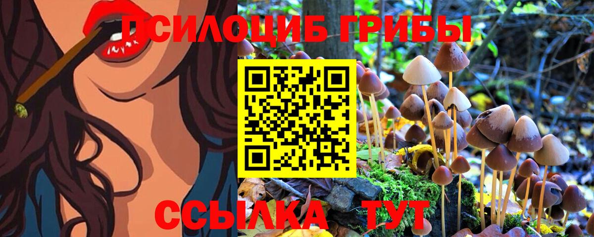 Галлюциногенные грибы GOLDEN TEACHER Добрянка