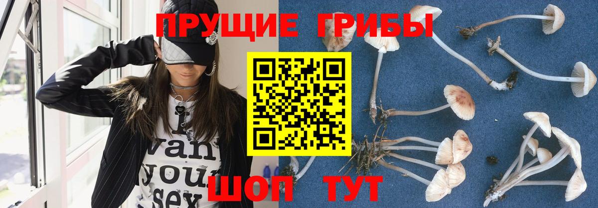 наркотики  Псилоцибиновые грибы MAGIC MUSHROOMS  Псилоцибиновые грибы Cubensis  Вход с VPN  Добрянка 